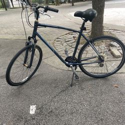 Giant Cypress DX  XL 