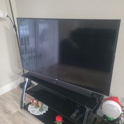 Vizio TV (56in)