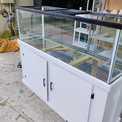 Fish Tank  100 G