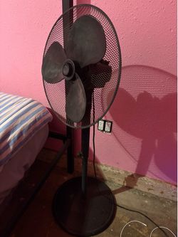 Fan