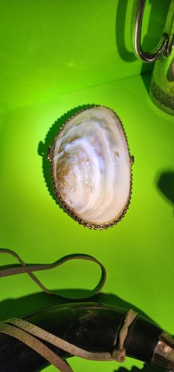 Vintage Mother of Pearl Snap Clutch