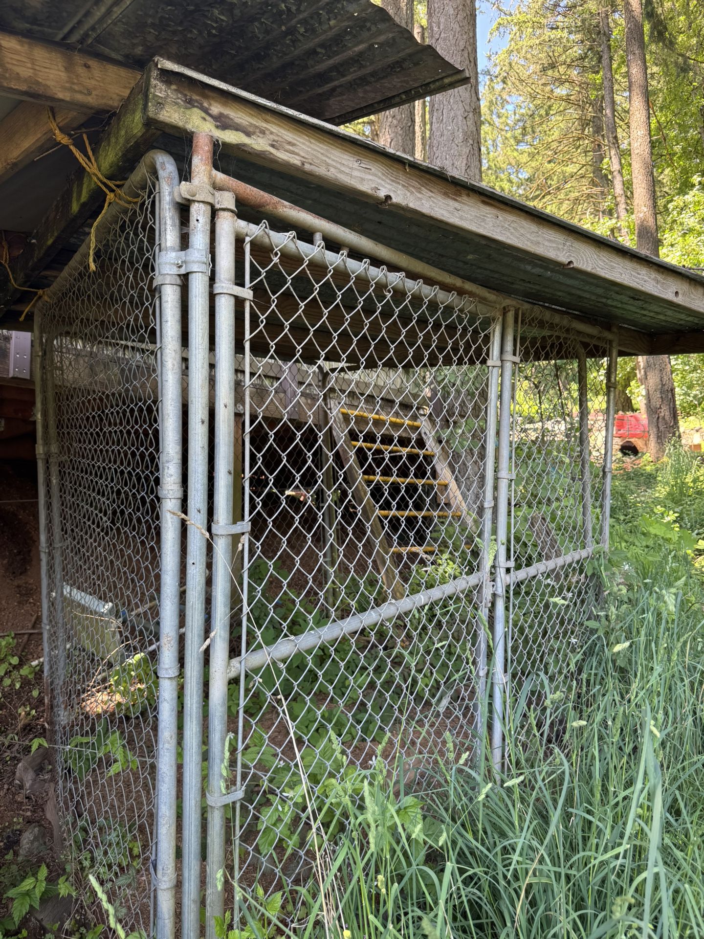 2 Dog Kennels 