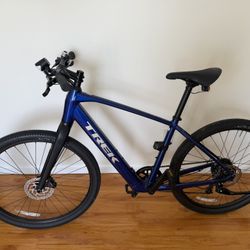 Trek Dual Sport + 2