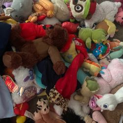 Stuffed Animals 