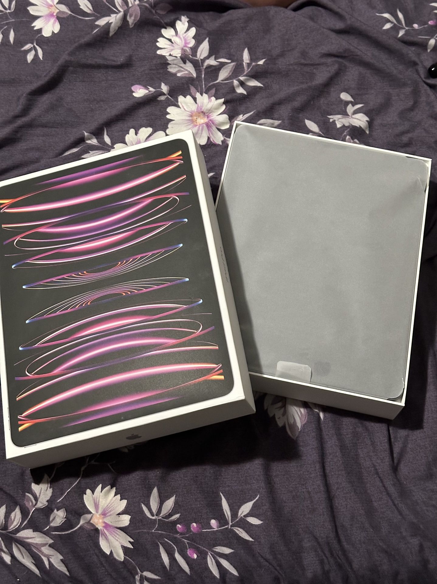 iPad Pro (6th Gen) 256gb WiFi+Cellular 