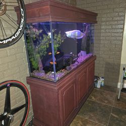 Fish Tank For Sale.