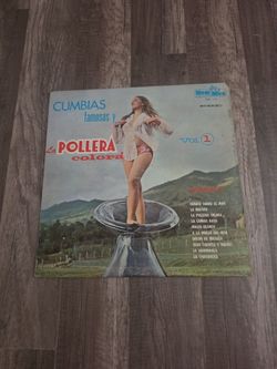 Cumbias famosas vinyl