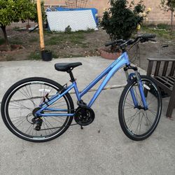 Schwinn Bike