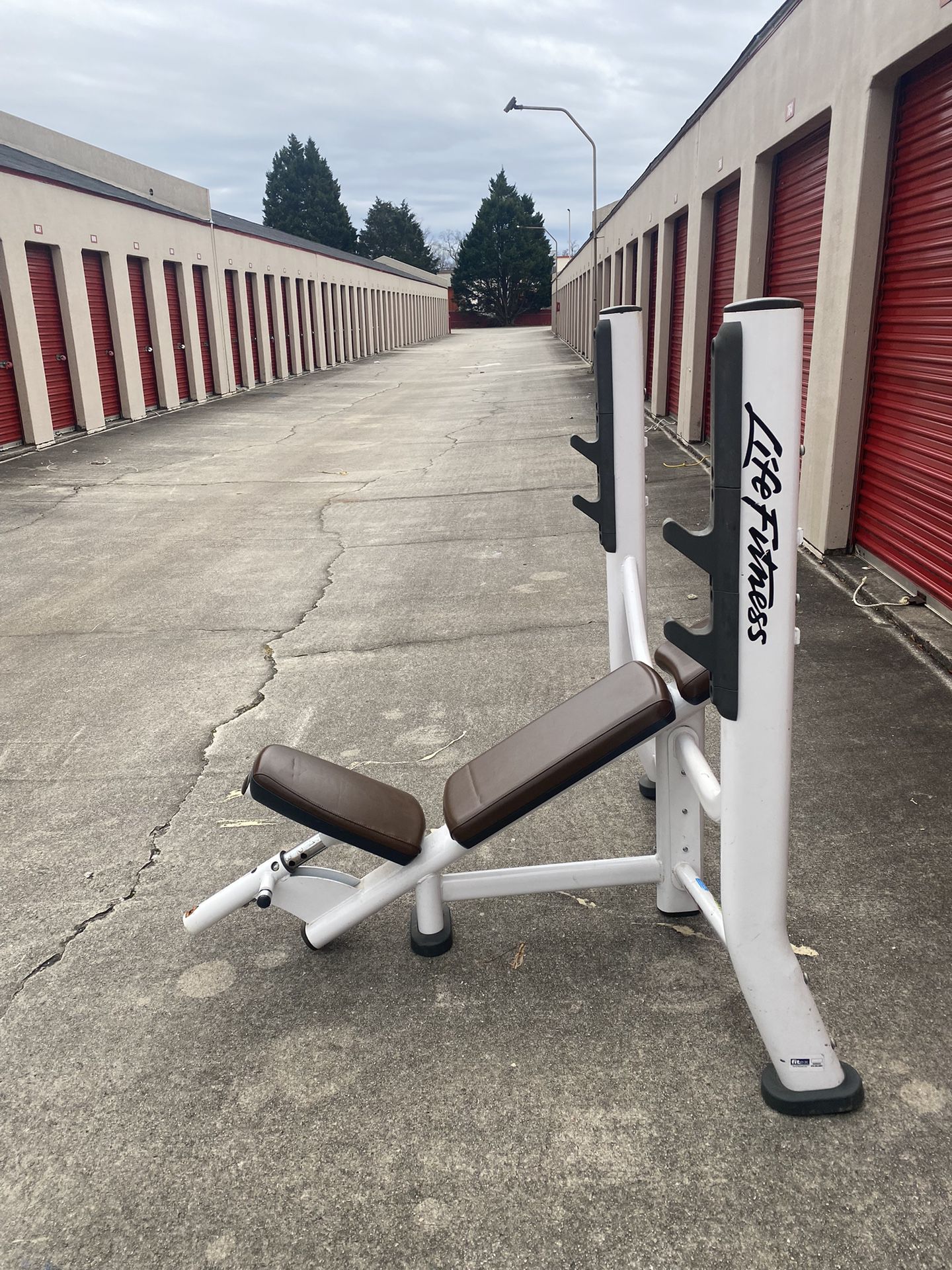 Life Fitness Olympic Gym Incline Bench ( White Black Brown)
