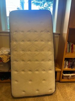 Free twin mattress