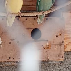 Nesting Boxes 