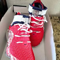 Nike lebron shoes