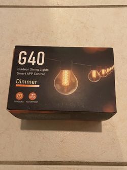 G40 LEDs 50 Ft. Indoor/Outdoor Plug-In Integrated String-Light Dimmable