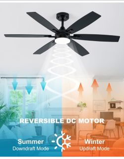 Coolwind 52" Ceiling fan with light