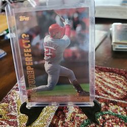 Mark Mcgwire St.Louis Cardinals Baseball Cards 