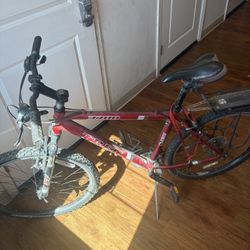 Trek mountain bike