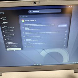 Samsung Chromebook , Google ChromeOs