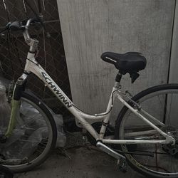 White schwinn Bike