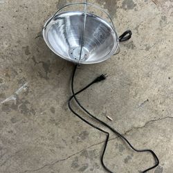 Chicken Heater 