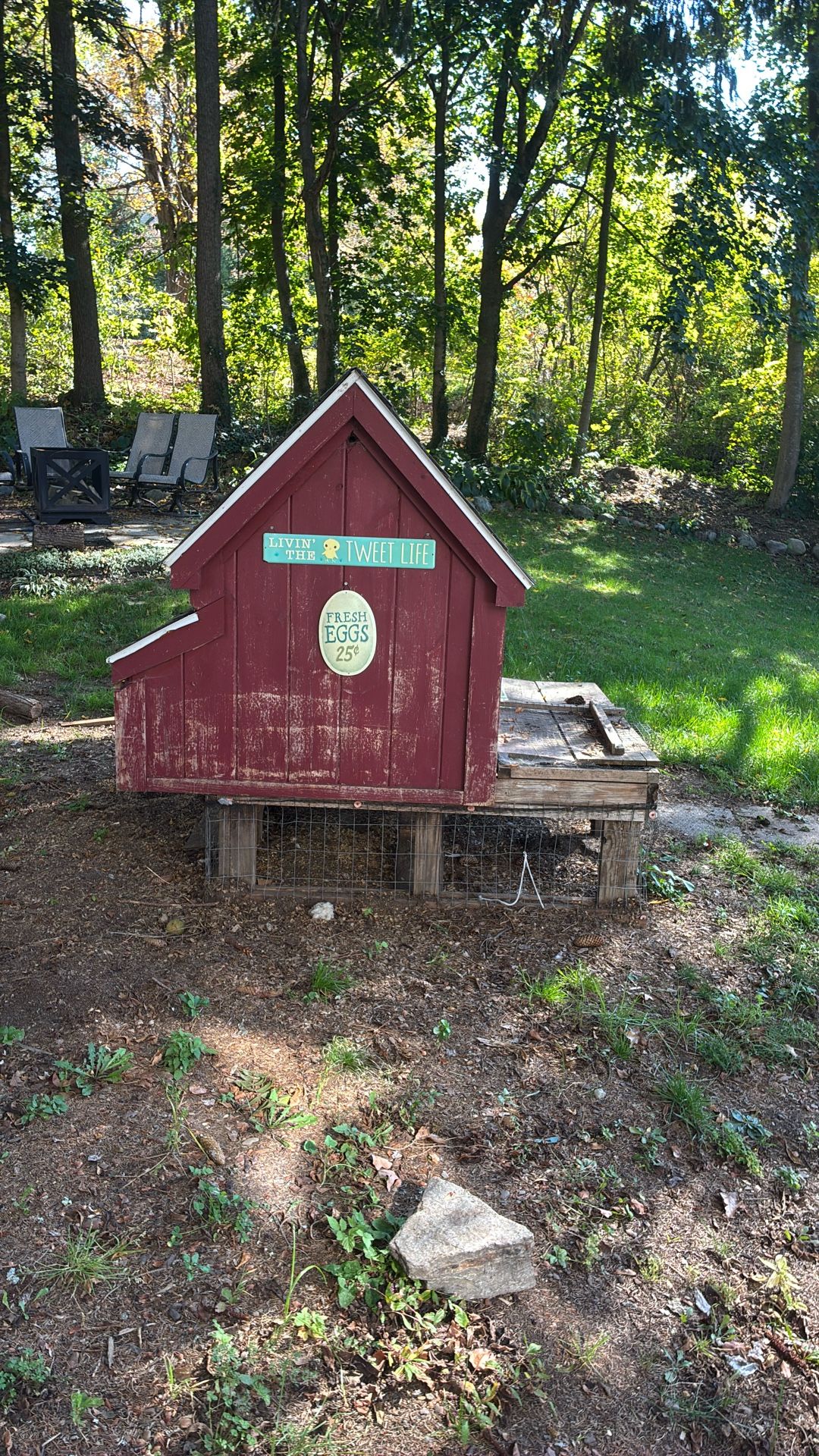 Chicken coop