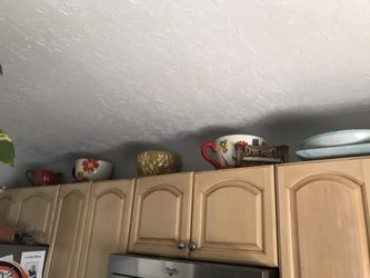 TEACUP PLANTERS $35