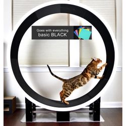 CAT WHEEL ZIGGYDOO FERRIES G5