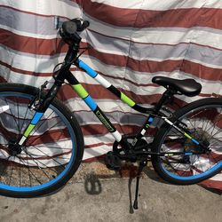 Guardian 24 Inch Bike