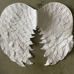 Angel wings