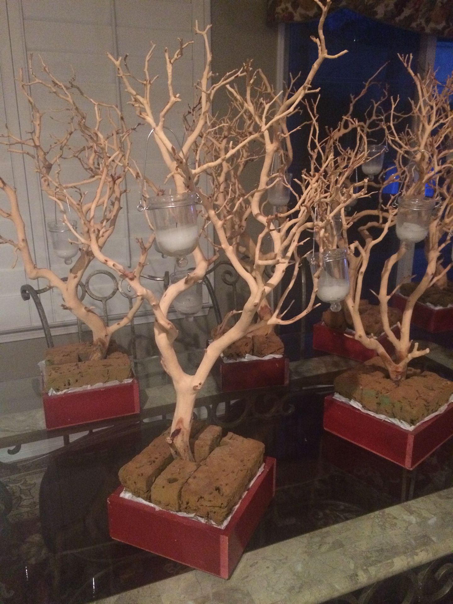 Four Manzanita Trees / Eight Centerpiece Boxes
