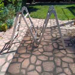 Folding Ladder