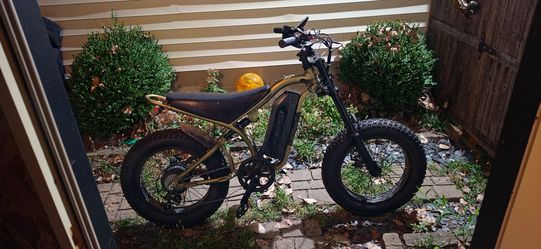 Electric  Bike