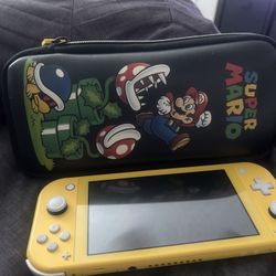 Nintendo Switch Lite 