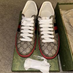 Gucci América Cup Trainers  (10M)