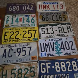 20 Vintage Expired License Plates 