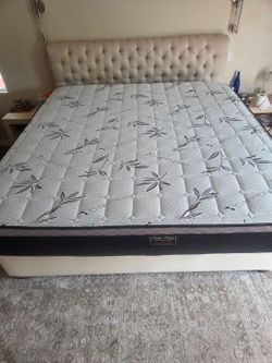 Regular King Mattress