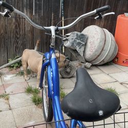 THREE WHEEL BIKE(Blue)