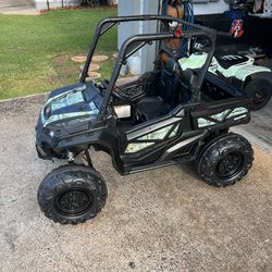 Real tree 24v ride with remote