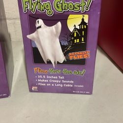 Flying Ghost 