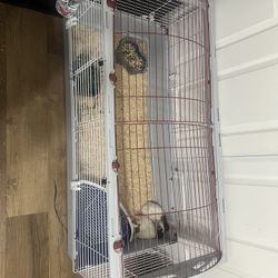 Comes With Everything You See Cage Itself Is 150 And Your Getting Everything You See For 120.