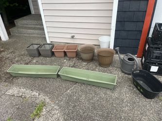 Flower pots $25