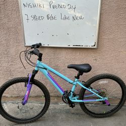Nishiki Pueblo 24”