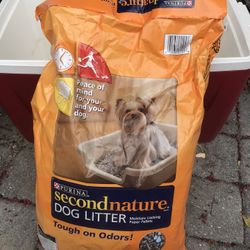 Dog Litter