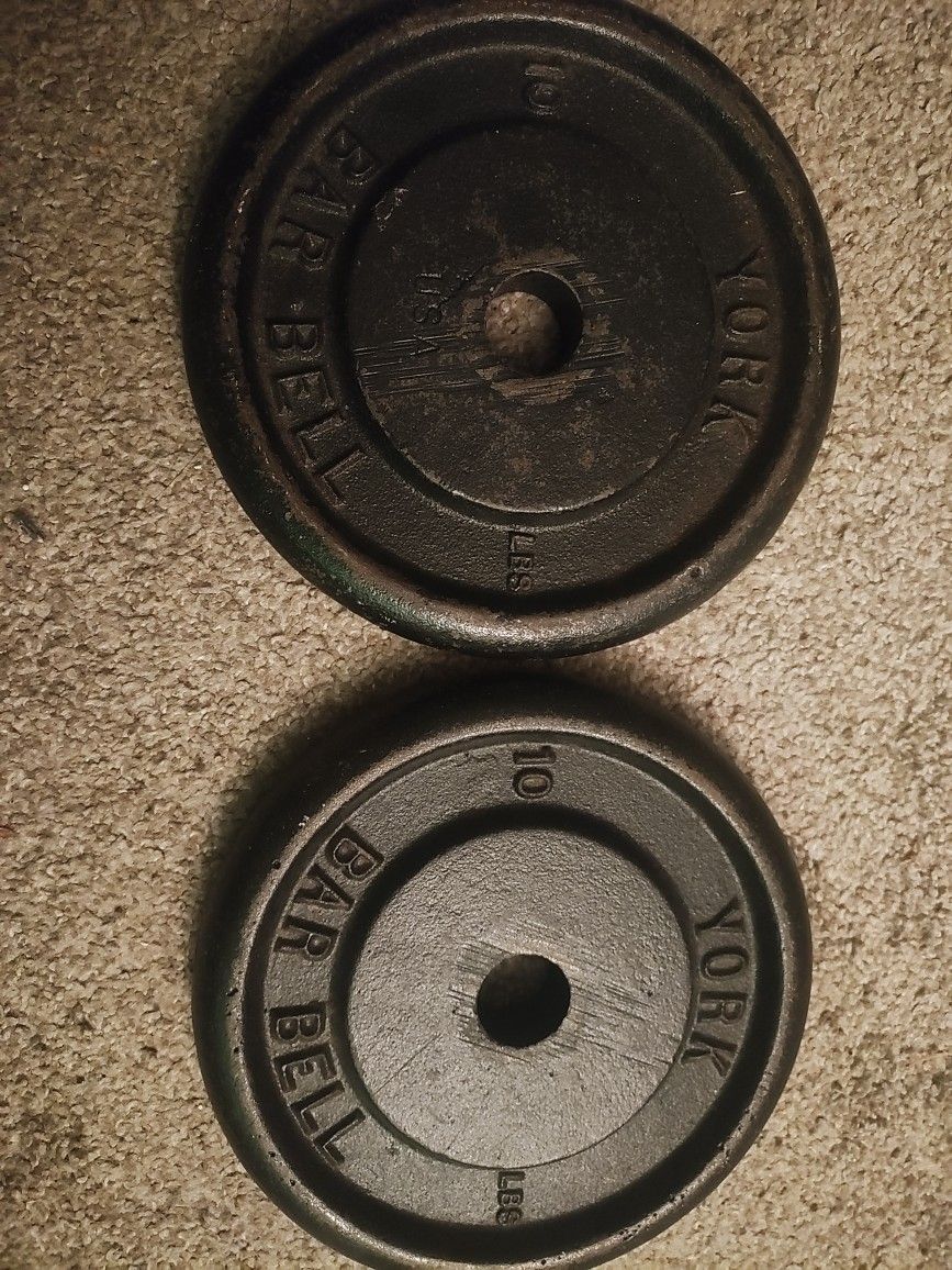 10 Lb Weights 