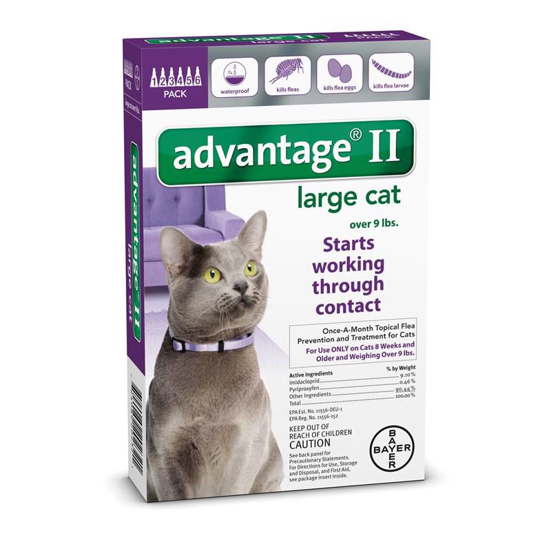 4 boxes of Advantage II for large cat - 6 doses each box