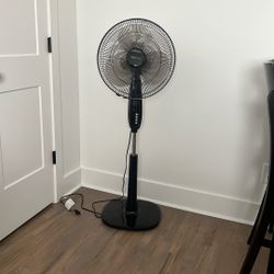Oscillating Floor Fan