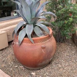 Beautiful Pots With Different Plants