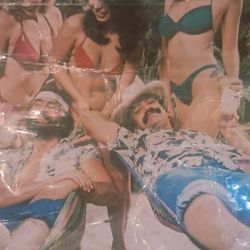 CHEECH AND CHONGS NICE DREAMS ORIGINAL MOVIE POSTER