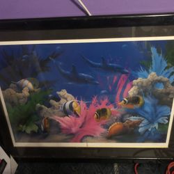 David Miller “Vivid Splinter”