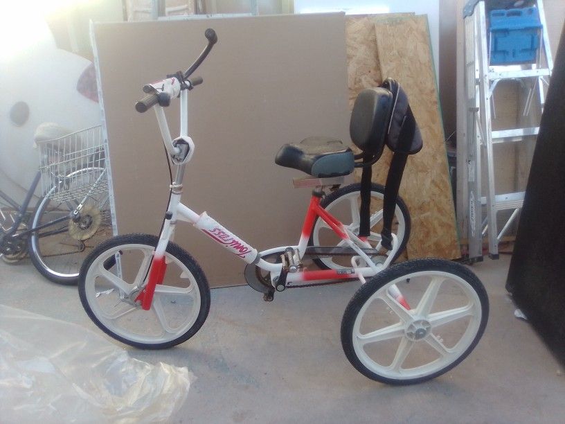 Raleigh Vektor Bike Custom For Special Needs