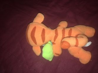Baby tiger